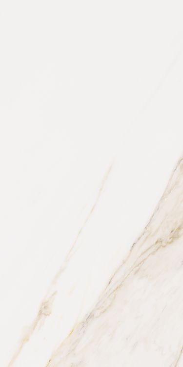 Omnia Calacatta Levigato 12 x 24